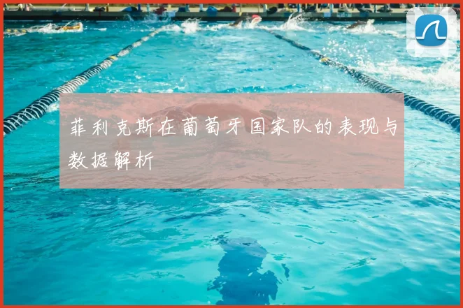 菲利克斯在葡萄牙国家队的表现与数据解析